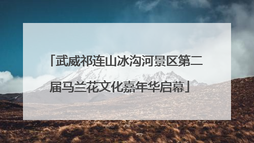 武威祁连山冰沟河景区第二届马兰花文化嘉年华启幕