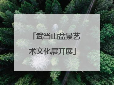 武当山盆景艺术文化展开展