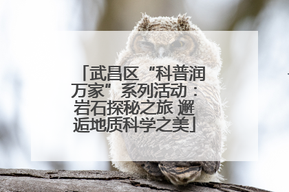 武昌区“科普润万家”系列活动：岩石探秘之旅 邂逅地质科学之美