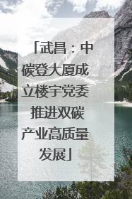 武昌：中碳登大厦成立楼宇党委 推进双碳产业高质量发展
