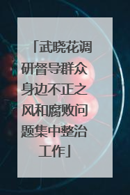 武晓花调研督导群众身边不正之风和腐败问题集中整治工作