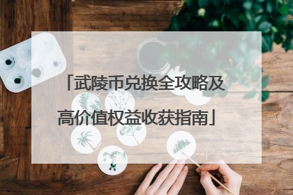 武陵币兑换全攻略及高价值权益收获指南