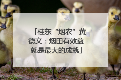 桂东“烟农”黄德文：烟田有效益就是最大的成就