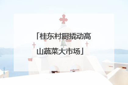 桂东村厨撬动高山蔬菜大市场