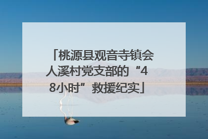 桃源县观音寺镇会人溪村党支部的“48小时”救援纪实