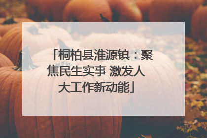 桐柏县淮源镇：聚焦民生实事 激发人大工作新动能