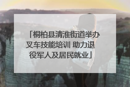 桐柏县清淮街道举办叉车技能培训 助力退役军人及居民就业