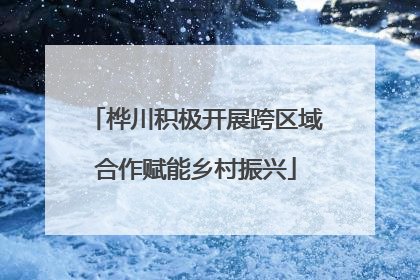 桦川积极开展跨区域合作赋能乡村振兴