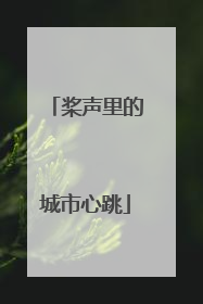 桨声里的城市心跳