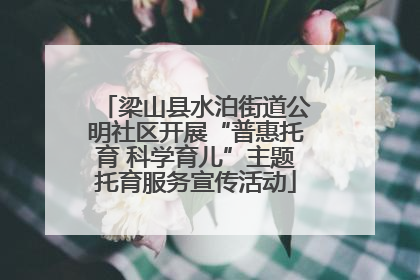 梁山县水泊街道公明社区开展“普惠托育 科学育儿”主题托育服务宣传活动