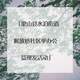 梁山县水泊街道解放桥社区举办公益理发活动
