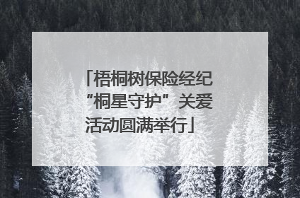 梧桐树保险经纪“桐星守护”关爱活动圆满举行