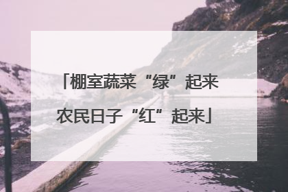 棚室蔬菜“绿”起来 农民日子“红”起来