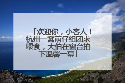 欢迎你，小客人！杭州一窝萌仔组团求喂食，大伯在窗台拍下温馨一幕
