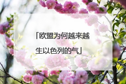 欧盟为何越来越生以色列的气