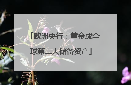 欧洲央行：黄金成全球第二大储备资产