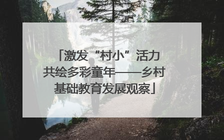 激发“村小”活力 共绘多彩童年——乡村基础教育发展观察