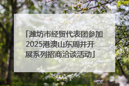 潍坊市经贸代表团参加2025港澳山东周并开展系列招商洽谈活动