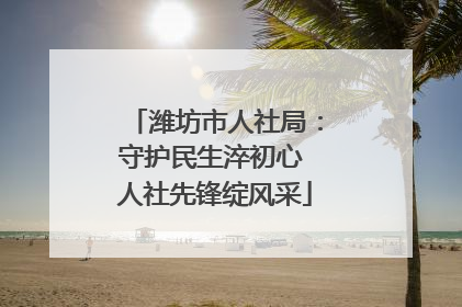 潍坊市人社局：守护民生淬初心 人社先锋绽风采