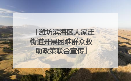 潍坊滨海区大家洼街道开展困难群众救助政策联合宣传
