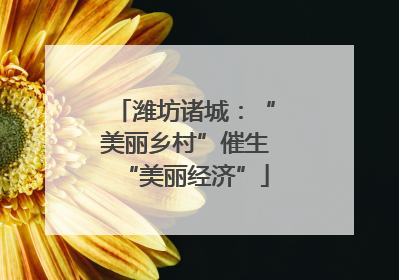 潍坊诸城：“美丽乡村”催生“美丽经济”