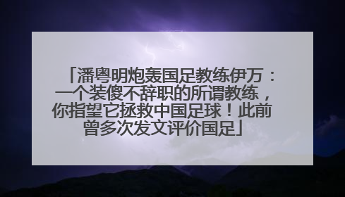 潘粤明炮轰国足教练伊万：一个装傻不辞职的所谓教练，你指望它拯救中国足球！此前曾多次发文评价国足