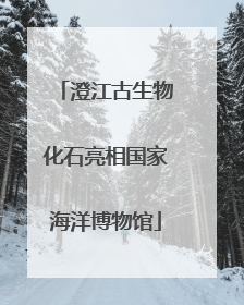 澄江古生物化石亮相国家海洋博物馆
