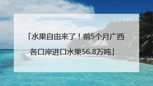 水果自由来了！前5个月广西各口岸进口水果56.8万吨