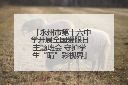 永州市第十六中学开展全国爱眼日主题班会 守护学生“睛”彩视界