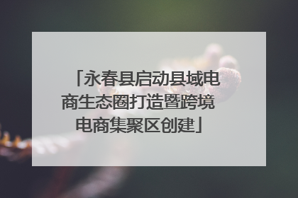 永春县启动县域电商生态圈打造暨跨境电商集聚区创建