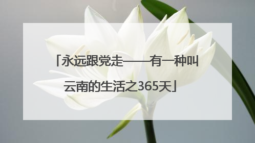 永远跟党走——有一种叫云南的生活之365天