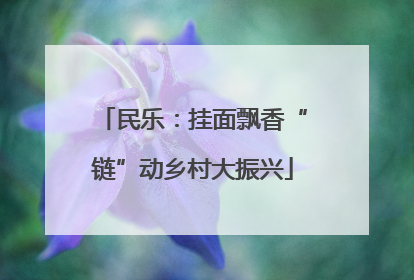 民乐：挂面飘香“链”动乡村大振兴