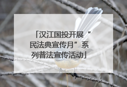 汉江国投开展“民法典宣传月”系列普法宣传活动