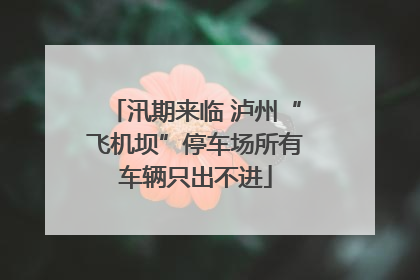 汛期来临 泸州“飞机坝”停车场所有车辆只出不进
