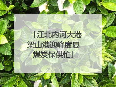 江北内河大港梁山港迎峰度夏煤炭保供忙