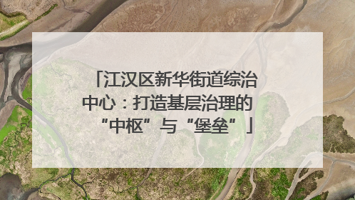 江汉区新华街道综治中心：打造基层治理的“中枢”与“堡垒”