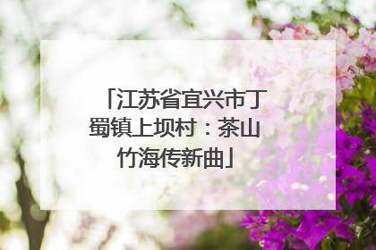 江苏省宜兴市丁蜀镇上坝村：茶山竹海传新曲
