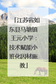 江苏省如东县马塘镇王元小学：技术赋能小班化因材施教