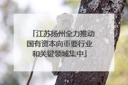 江苏扬州全力推动国有资本向重要行业和关键领域集中