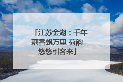江苏金湖：千年藕香飘万里 荷韵悠悠引客来