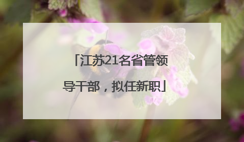 江苏21名省管领导干部，拟任新职
