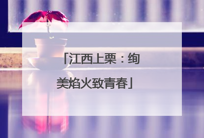 江西上栗：绚美焰火致青春