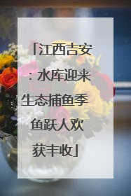 江西吉安：水库迎来生态捕鱼季 鱼跃人欢获丰收