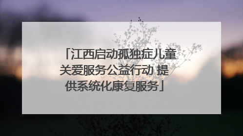 江西启动孤独症儿童关爱服务公益行动 提供系统化康复服务
