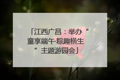 江西广昌：举办“童享端午·粽趣横生”主题游园会