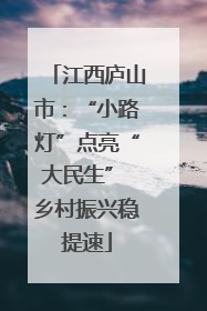 江西庐山市：“小路灯”点亮“大民生” 乡村振兴稳提速
