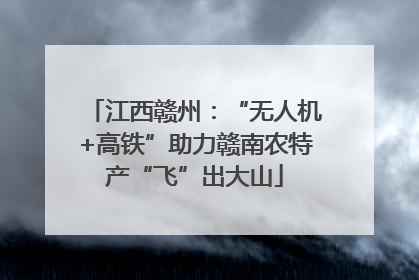 江西赣州：“无人机+高铁”助力赣南农特产“飞”出大山