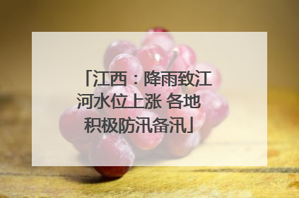 江西：降雨致江河水位上涨 各地积极防汛备汛