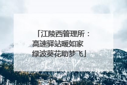 江陵西管理所：高速驿站暖如家 绿波葵花助梦飞