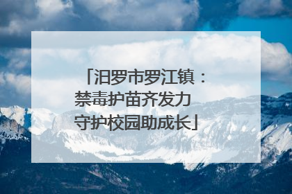 汨罗市罗江镇：禁毒护苗齐发力 守护校园助成长